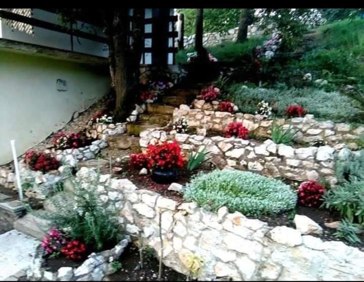 Vila Eva Meduvrsje Экстерьер фото
