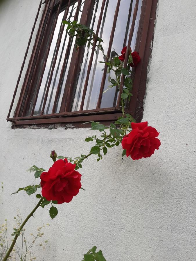 Vila Eva Meduvrsje Экстерьер фото
