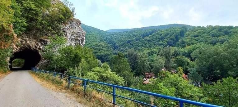 Vila Eva Meduvrsje Экстерьер фото