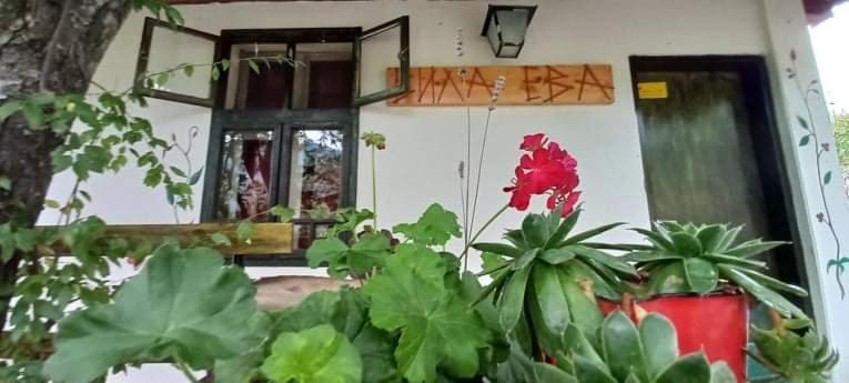 Vila Eva Meduvrsje Экстерьер фото