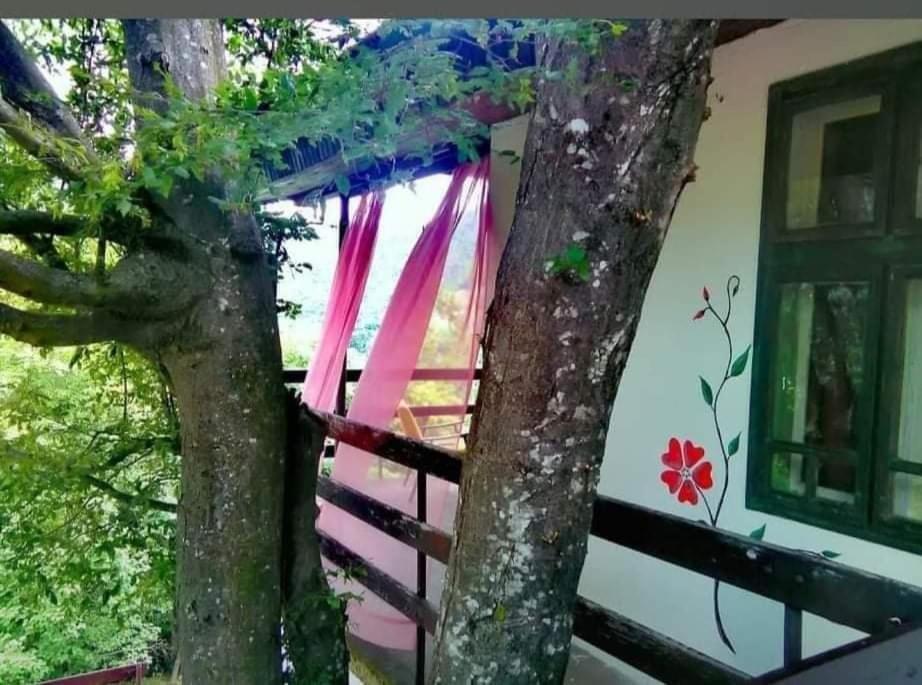 Vila Eva Meduvrsje Экстерьер фото