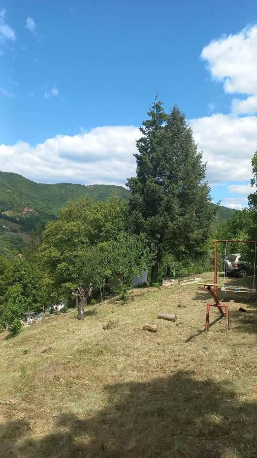 Vila Eva Meduvrsje Экстерьер фото